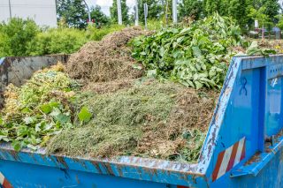 Container mit Rasenschnitt, Laub und anderem Grünabfall
