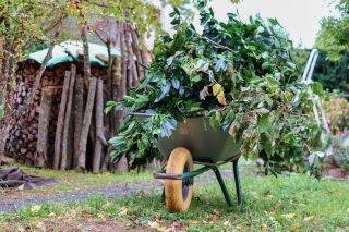 Gartenabfall und Grünschnitt entsorgen